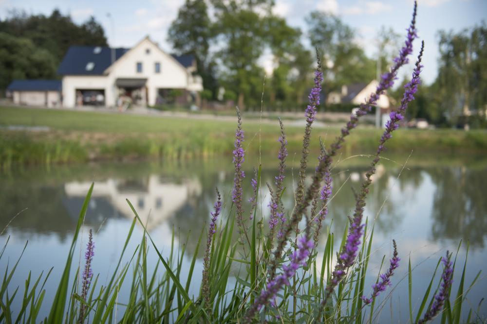 Apartamenty U Harrego I Przy Stawie Spa Z Klimatyzacja, Balia, Sauna, Ogrodem I Parkingiem กูโดวาสโดรยจ์ ภายนอก รูปภาพ